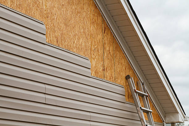 Professional Storm Damage Siding Repair technician working in Richmond, VA